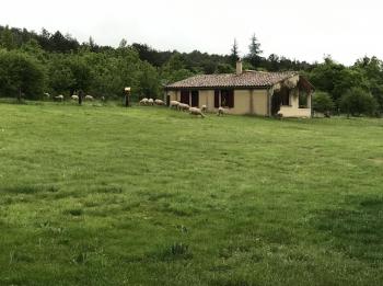 Zwischen Luberon und Ventoux