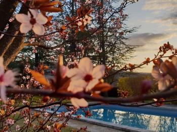 Charmantes Ferienhaus mit eigenem Pool im Luberon (Provence)